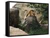 Male Lion Sleeping on a Rock in Africa-John Dominis-Framed Stretched Canvas