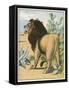 Male Lion Stands Alone in a Desert-W. Foster-Framed Stretched Canvas