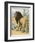 Male Lion Stands Alone in a Desert-W. Foster-Framed Premium Photographic Print
