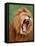 Male lion tearing his mouth open-Winfried Wisniewski-Framed Stretched Canvas