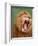 Male lion tearing his mouth open-Winfried Wisniewski-Framed Photographic Print