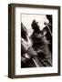 Male Maasai Dancers, Amboseli National Park, Kenya-Paul Joynson Hicks-Framed Photographic Print