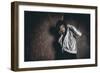 Male Model in Fashion Shoot-Luis Beltran-Framed Photographic Print