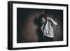 Male Model in Fashion Shoot-Luis Beltran-Framed Photographic Print