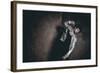 Male Model in Fashion Shoot-Luis Beltran-Framed Photographic Print