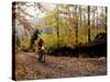 Male Mountain Biker Competing in a Race 1993 NY State Championships-null-Stretched Canvas