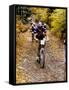 Male Mountain Biker Competing in a Race 1993 NY State Championships-null-Framed Stretched Canvas