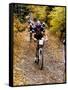 Male Mountain Biker Competing in a Race 1993 NY State Championships-null-Framed Stretched Canvas