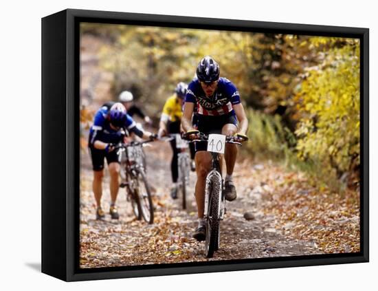 Male Mountain Biker Competing in a Race 1993 NY State Championships-null-Framed Stretched Canvas