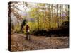 Male Mountain Biker Competing in a Race 1993 NY State Championships-null-Stretched Canvas