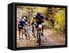 Male Mountain Biker Competing in a Race 1993 NY State Championships-null-Framed Stretched Canvas