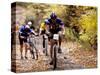 Male Mountain Biker Competing in a Race 1993 NY State Championships-null-Stretched Canvas