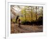 Male Mountain Biker Competing in a Race 1993 NY State Championships-null-Framed Photographic Print