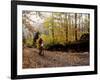 Male Mountain Biker Competing in a Race 1993 NY State Championships-null-Framed Photographic Print