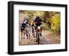 Male Mountain Biker Competing in a Race 1993 NY State Championships-null-Framed Photographic Print