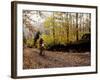 Male Mountain Biker Competing in a Race 1993 NY State Championships-null-Framed Photographic Print