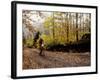 Male Mountain Biker Competing in a Race 1993 NY State Championships-null-Framed Photographic Print