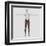 Male Muscle Anatomy of the Human Legs, Anterior View-null-Framed Art Print