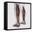 Male Muscle Anatomy of the Human Legs, Anterior View-null-Framed Stretched Canvas