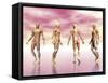 Male Muscular System from Four Points of View, Pink Background-null-Framed Stretched Canvas
