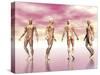 Male Muscular System from Four Points of View, Pink Background-null-Stretched Canvas