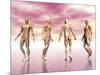 Male Muscular System from Four Points of View, Pink Background-null-Mounted Art Print