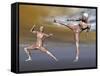 Male Musculature in Fighting Stance-null-Framed Stretched Canvas