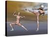 Male Musculature in Fighting Stance-null-Stretched Canvas