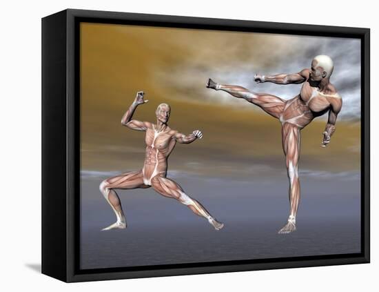 Male Musculature in Fighting Stance-null-Framed Stretched Canvas