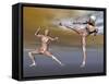 Male Musculature in Fighting Stance-null-Framed Stretched Canvas