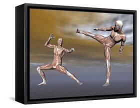 Male Musculature in Fighting Stance-null-Framed Stretched Canvas