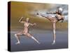 Male Musculature in Fighting Stance-null-Stretched Canvas