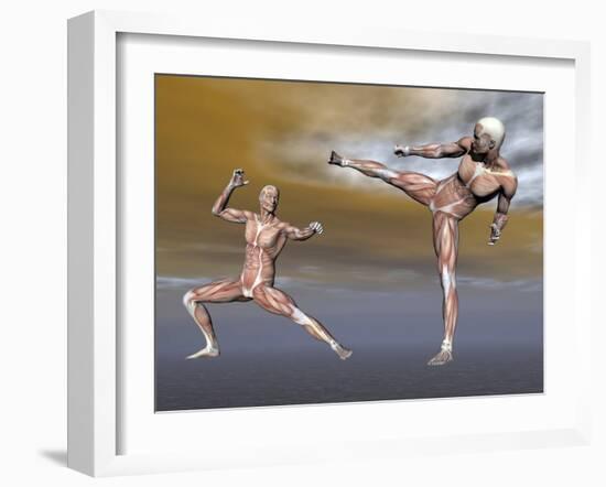 Male Musculature in Fighting Stance-null-Framed Art Print