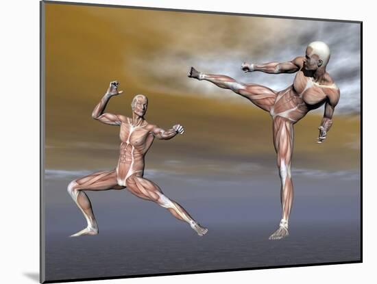 Male Musculature in Fighting Stance-null-Mounted Art Print