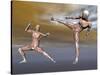 Male Musculature in Fighting Stance-null-Stretched Canvas