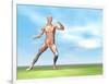 Male Musculature in Fighting Stance-null-Framed Art Print