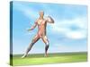 Male Musculature in Fighting Stance-null-Stretched Canvas