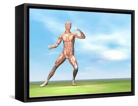 Male Musculature in Fighting Stance-null-Framed Stretched Canvas