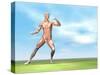 Male Musculature in Fighting Stance-null-Stretched Canvas