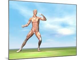 Male Musculature in Fighting Stance-null-Mounted Art Print