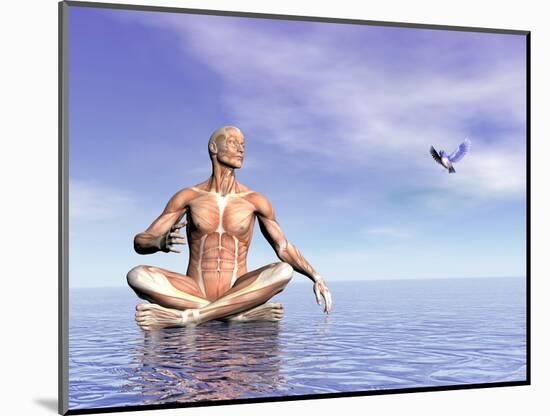 Male Musculature in Lotus Position While Looking at a Little Bird Flying-null-Mounted Art Print