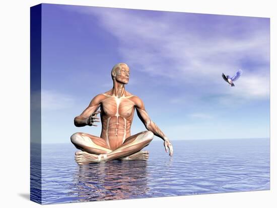 Male Musculature in Lotus Position While Looking at a Little Bird Flying-null-Stretched Canvas