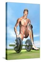 Male Musculature Looking at a Dumbbell on the Grass-null-Stretched Canvas