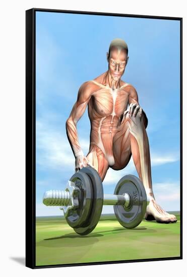 Male Musculature Looking at a Dumbbell on the Grass-null-Framed Stretched Canvas