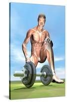 Male Musculature Looking at a Dumbbell on the Grass-null-Stretched Canvas