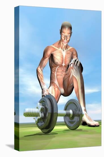 Male Musculature Looking at a Dumbbell on the Grass-null-Stretched Canvas