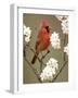 Male Northern Cardinal-Adam Jones-Framed Photographic Print