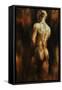 Male Nude I-Sydney Edmunds-Framed Stretched Canvas