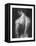 Male Nude I-Ethan Harper-Framed Stretched Canvas