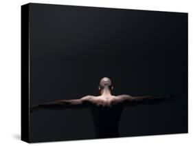 Male Nude in Shadows-null-Stretched Canvas